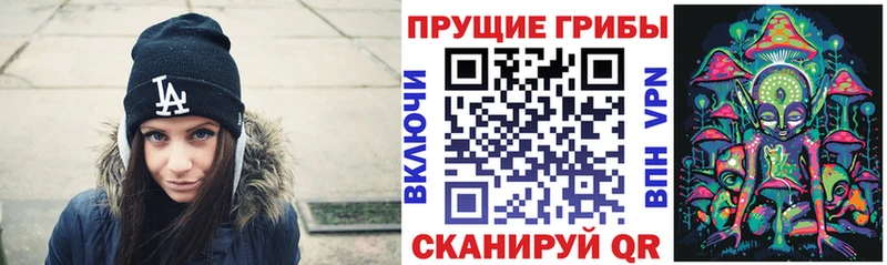 Псилоцибиновые грибы GOLDEN TEACHER  купить   Аткарск 